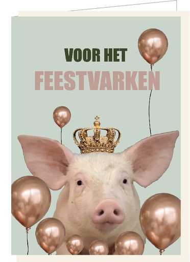 [SF4253] Voor het feestvarken