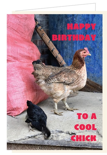 [AT029] Happy birthday to a cool chick