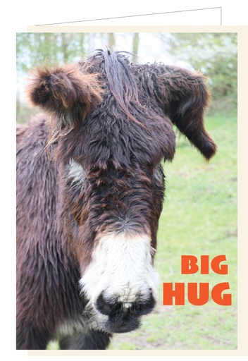 [AT038] Big hug