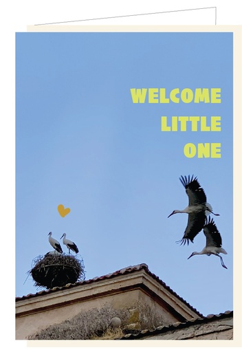 [AT046] Welcome little one