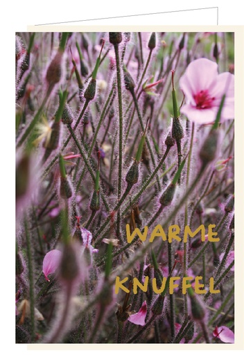 [AT050] Warme knuffel