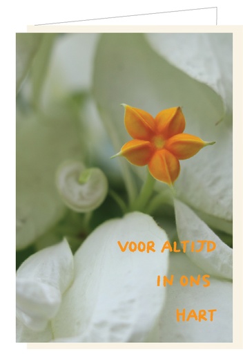 [AT053] Voor altijd in ons hart