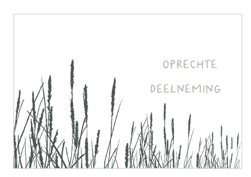 [PR063] Oprechte deelneming