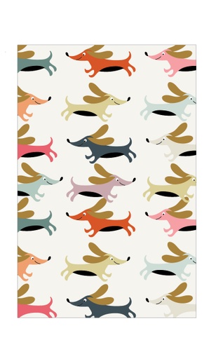 [NQ088] Blanco teckel