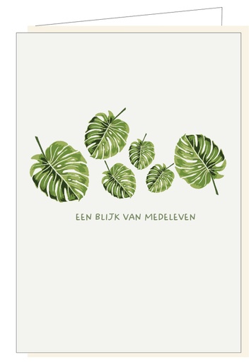 [MM1098] Een blijk van medeleven