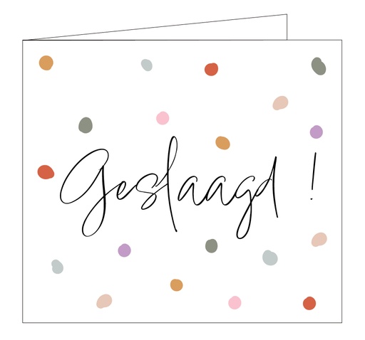 [5226] Geslaagd !
