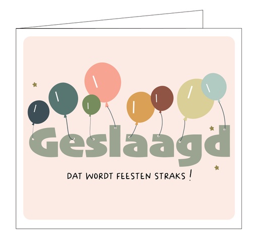 [5227] Geslaagd ! Dat wordt feesten straks !