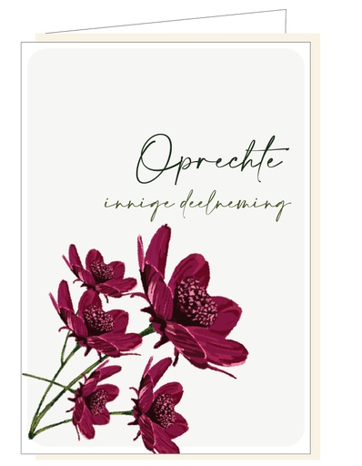 [MM1091] Oprechte innige deelneming