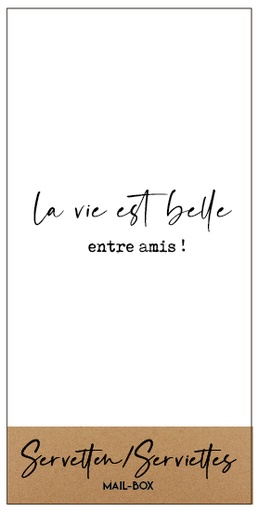 [SERG018] La vie est belle entre amis !