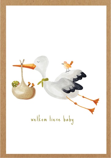 [AA023] Welkom lieve baby
