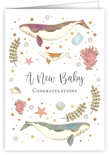 [CL3690] A new baby congratulations