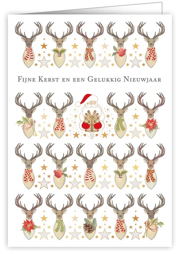 [MCNL4691] fijne kerst en een gelukkig nieuwjaar